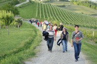 weitere Bilder siehe unter Links